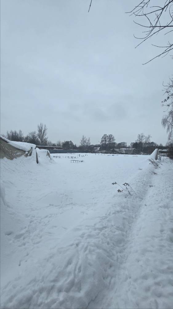 Москва и МО, Раменское, Сосновый бор ул.; Земля коммерческого назначения на участке 42 сот.