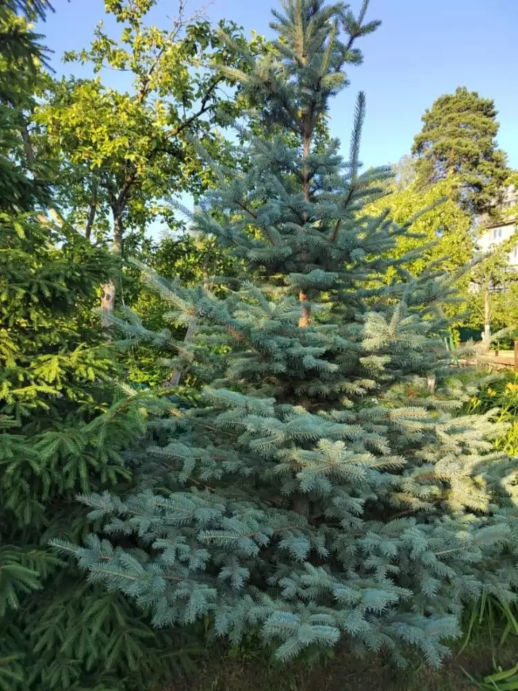 img-20240206-wa0001
