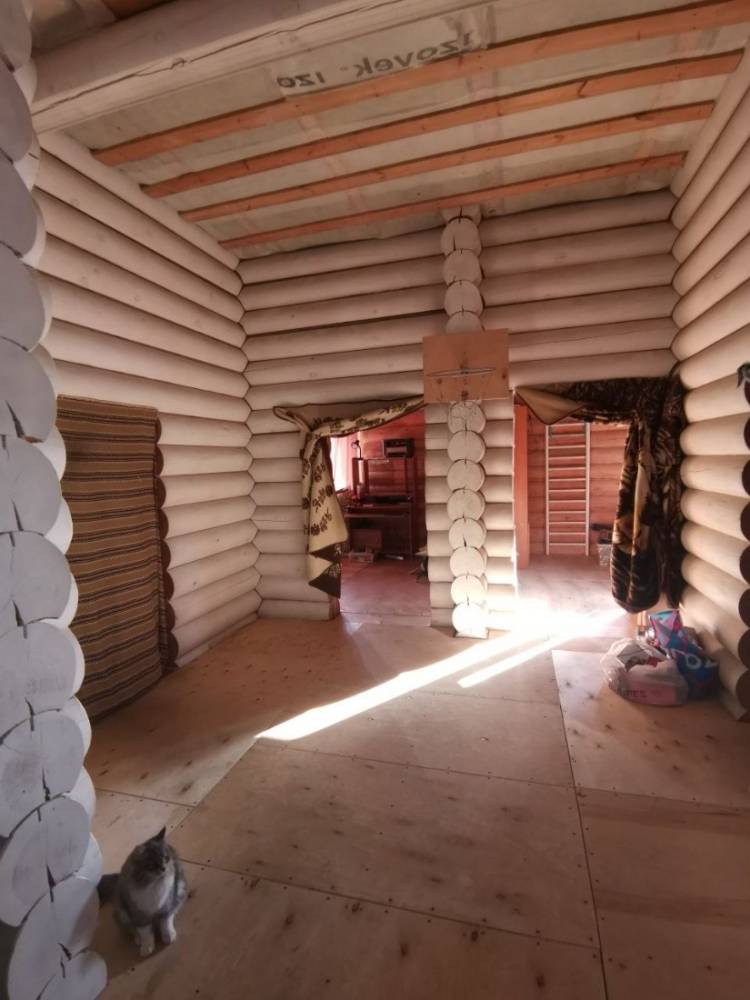 img_20241102_175500_225