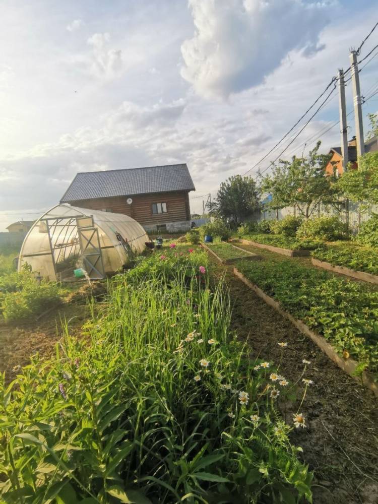 img_20241102_175512_654