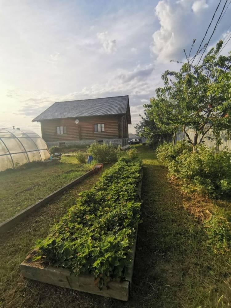 img_20241102_175512_697