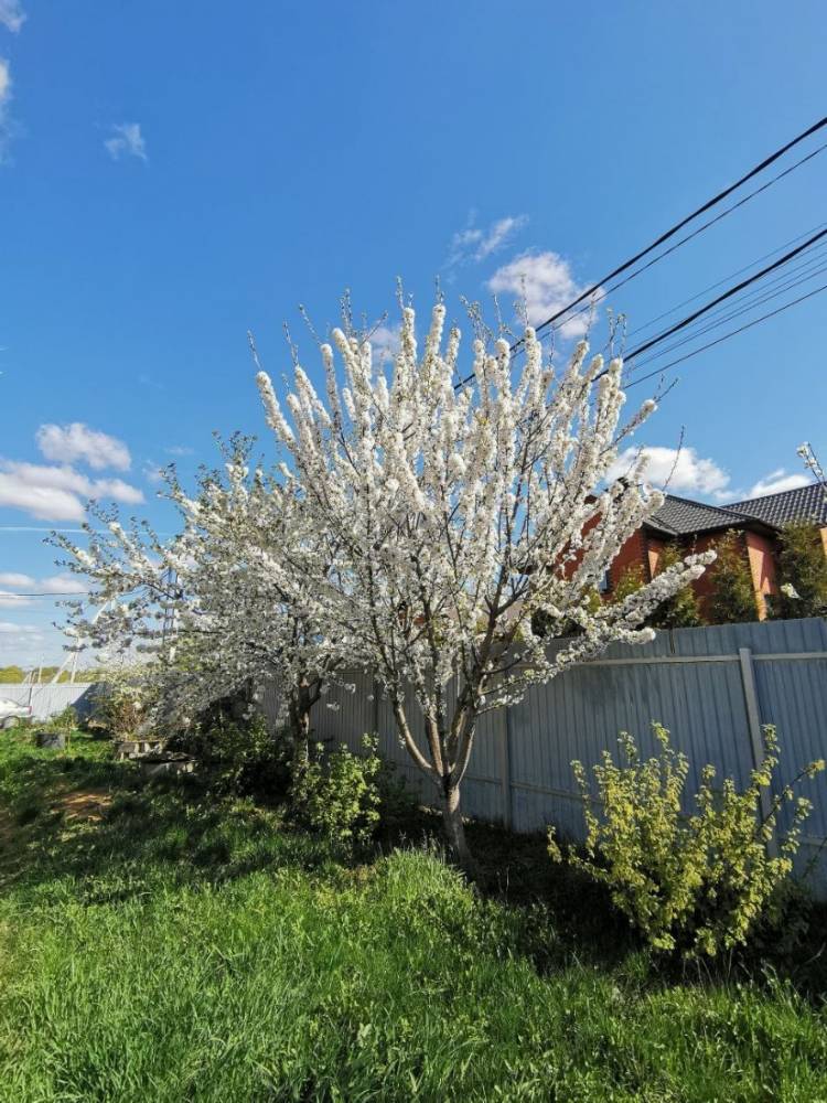 img_20250428_130811_906