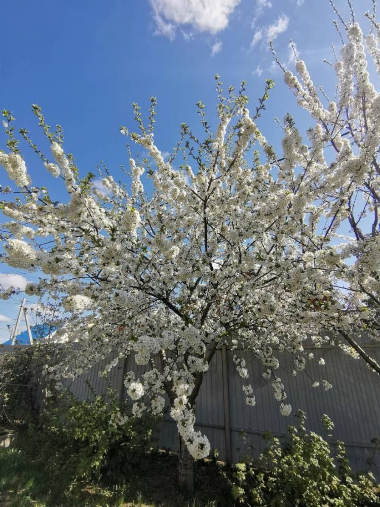 img_20250428_130811_927