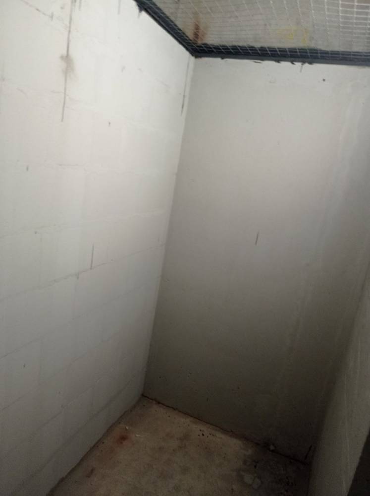 img_20251113_103101_562