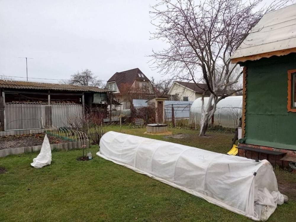 photo_2026-03-22_00-35-10