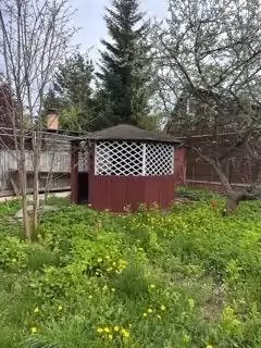 img_8337 — малый размер